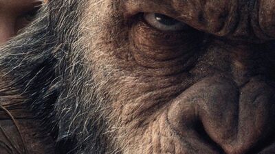 'War For the Planet of the Apes' Director Teases Ape War in Sequels