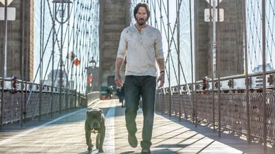 Exclusive: First Look At New John Wick 2 Poster