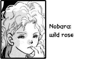 Nobara