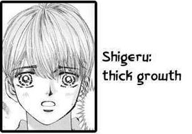 Shigeru
