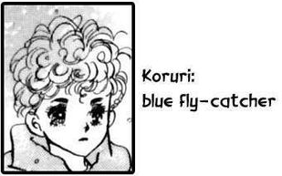 Koruri