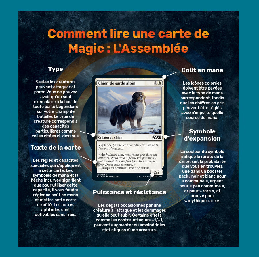 Jeu de cartes Édition survie