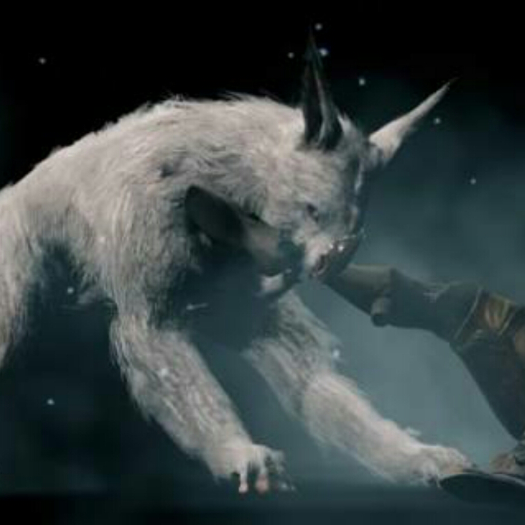 Sunika kubrow