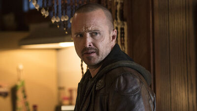 'Breaking Bad' Fans Have a Lot of Interest in 'El Camino' Supporting Characters