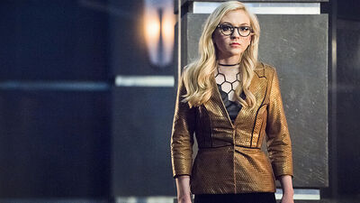 See 'Walking Dead' Actress Emily Kinney on 'Arrow'