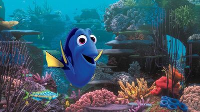 Crash Course: Everything You Need to Know About 'Finding Dory'