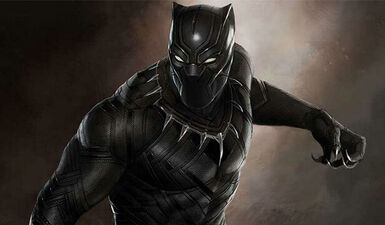 'Black Panther' Has A Director