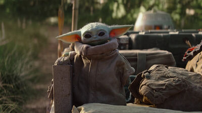 The Mandalorian: A Day in the Life of Baby Yoda