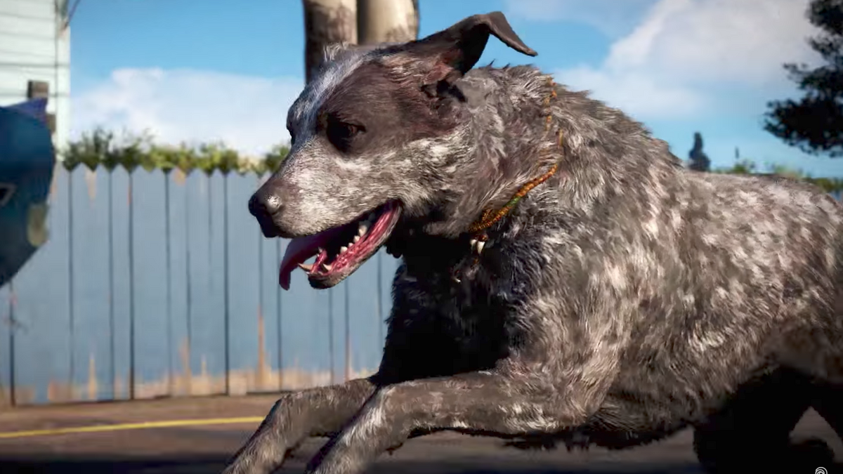 Far Cry 5 trailer E3 boomer dog