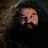 Hairywizard934's avatar