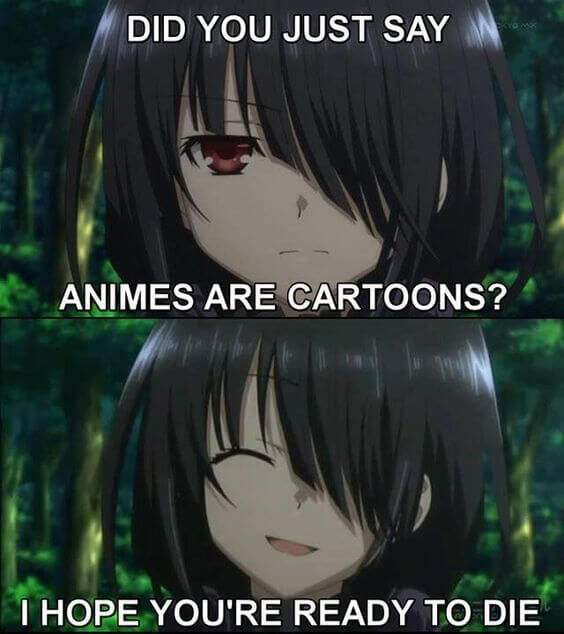 Did you just say animes are cartoons