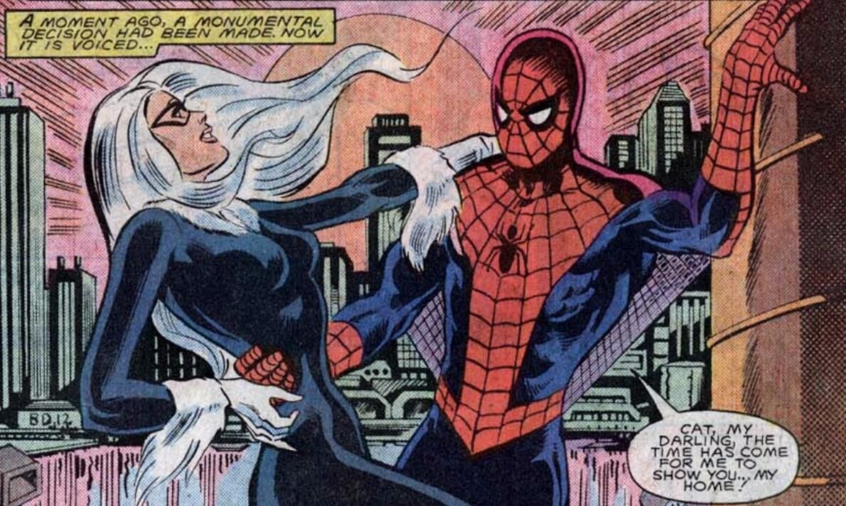 spider-man black cat