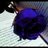 Avatar de Coral1234