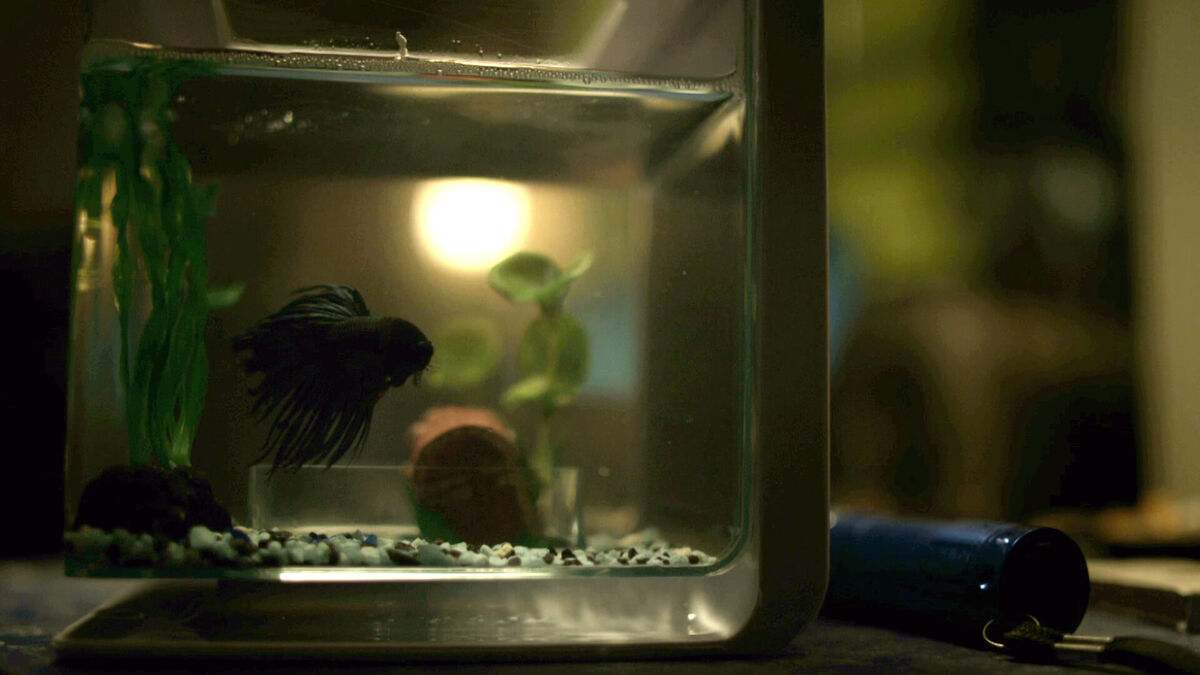 mr-robot-qwerty-fish