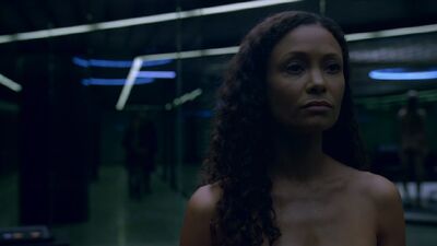 'Westworld' Recap and Reaction: "Chestnut"