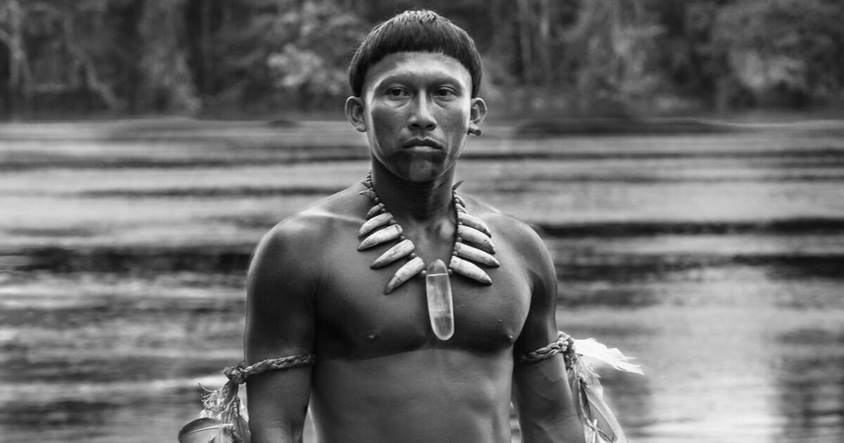 embrace of the serpent