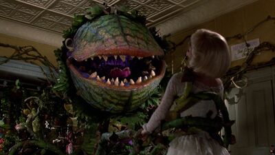 Arrowverse Producer Helming 'Little Shop of Horrors' Remake