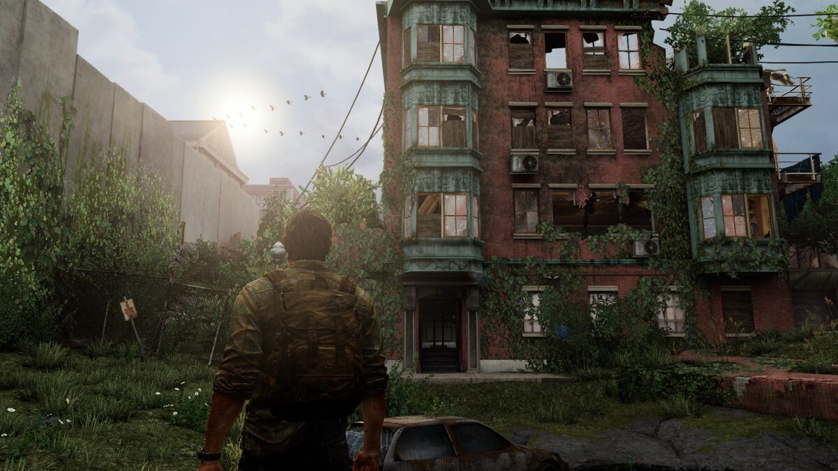 The Last of Us