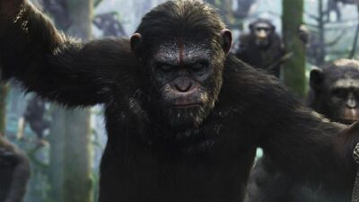 Andy Serkis Discusses Shooting Final Emotional Scene in Apes 3