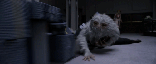 A Demiguise - One of the Beasts in Fantastic Beasts and Where to Find Them