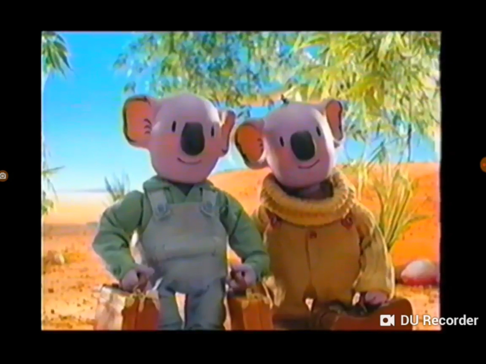 The Koala Brothers 90s Cartoons Wiki Fandom