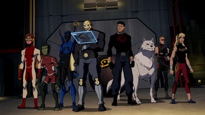 Will 'Young Justice' Season 3 Have Visible LGBTQ Characters?