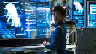 'Star Trek: Discovery': Will Michael Burnham Have a Cross-Species Romance?