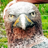 Milomilk's avatar