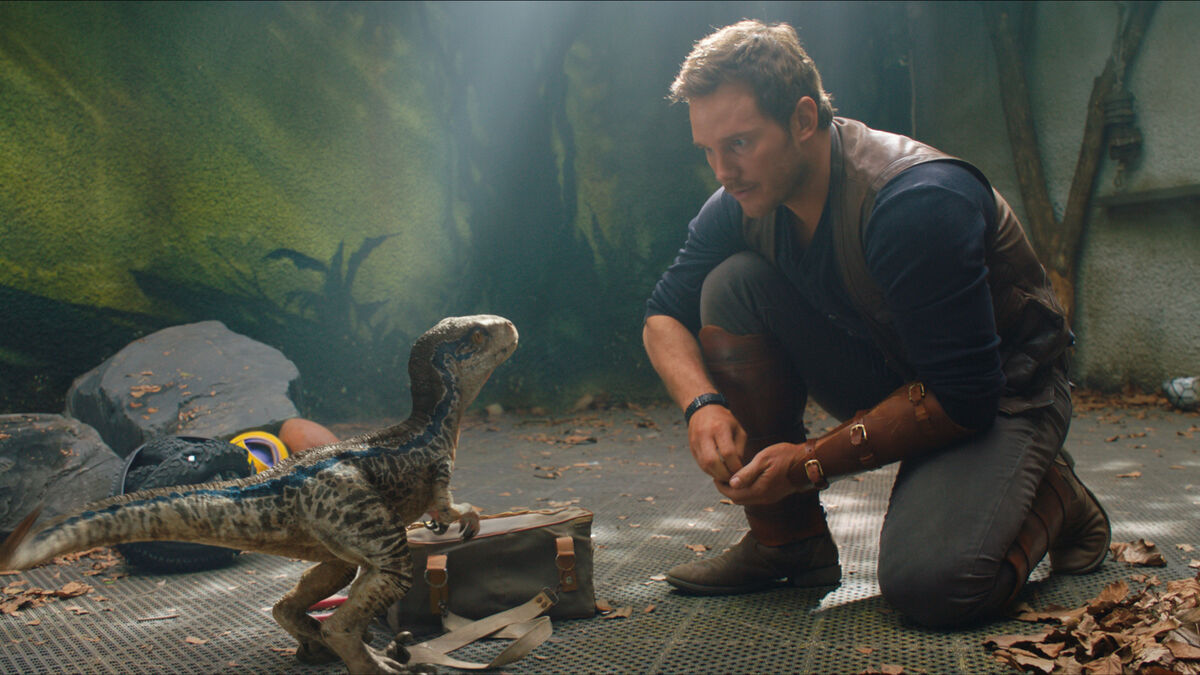 5 Reasons You Know the Love Is Real Between Owen and Blue in ‘Jurassic ...