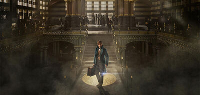 Why the 'Fantastic Beasts' Teaser Got Us Excited