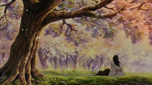 meaning cherry blossoms in anime Samurai X: Reflection