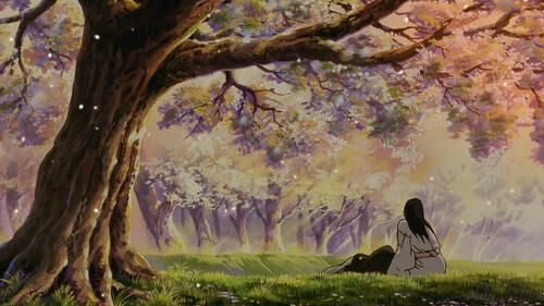 Download two anime characters hugging under a cherry blossom tree