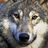Paula1961's avatar