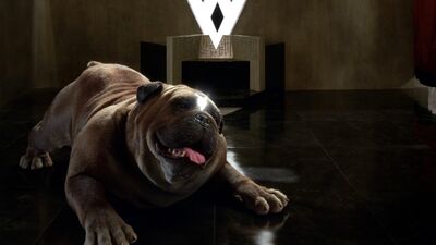 ‘Marvel's Inhumans’ Dog Lockjaw “Really Screws Up a Lot of Episodes”