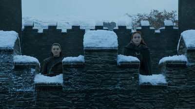 Sansa and Arya Finally Teamed Up On 'Game of Thrones' and Twitter Threw A Party