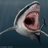 Timk22's avatar