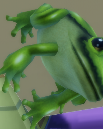 Frog A Bizarre Day Roblox Wiki Fandom