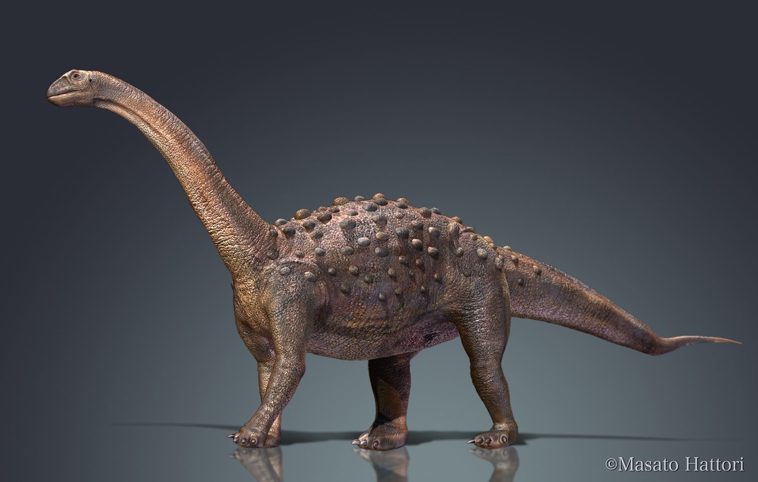 Saltasaurus A Dinosaur Story by HoopsandDinoman Wiki Fandom