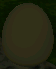 Microraptoregg