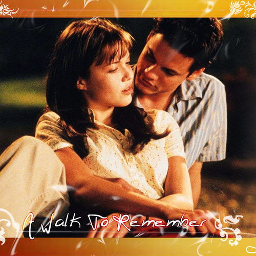 Movie Vs Novel A Walk To Remember Wiki Fandom