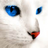 SaveRcats's avatar