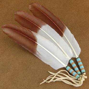 Image - Native-American-Indian-Feathers.jpg | A101 Wiki | FANDOM ...