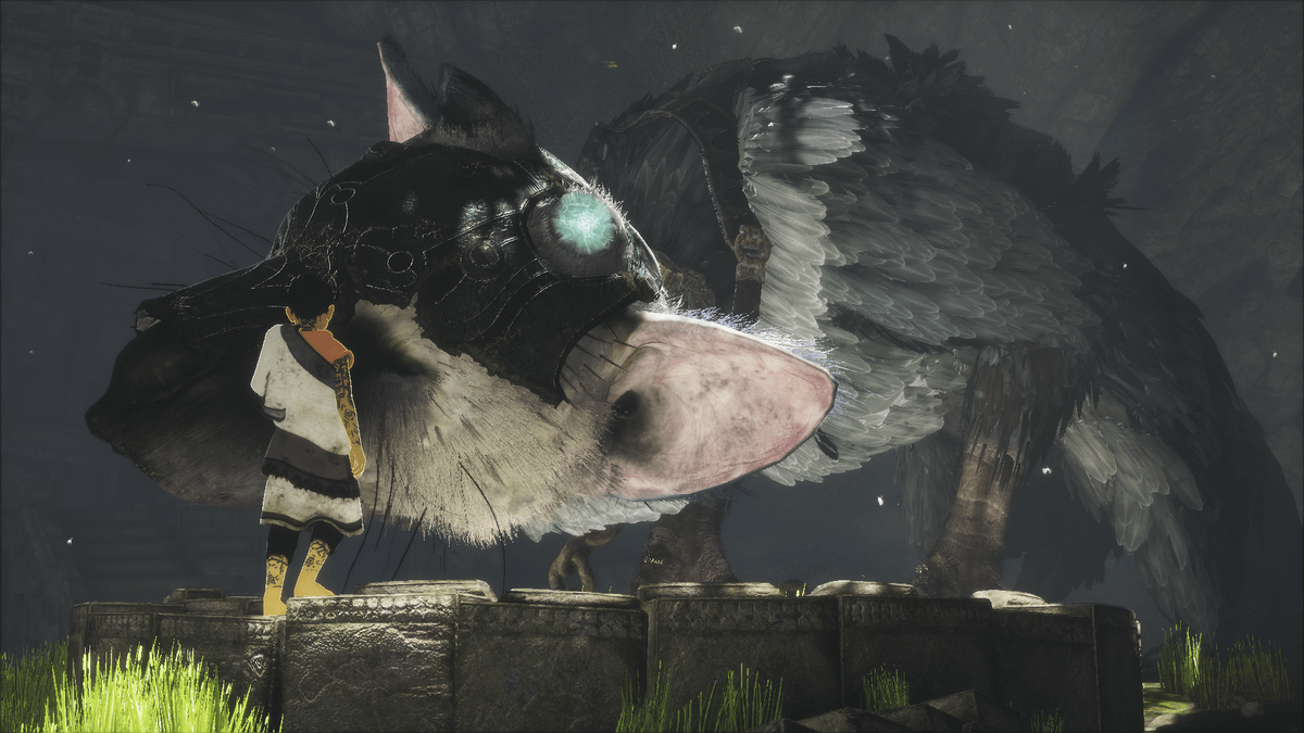 The Last Guardian Delay