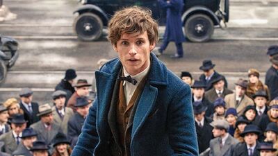 'Fantastic Beasts' Sequel Promises "Surprising Nods" to Harry Potter Stories