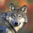 Wolf Fang 456's avatar