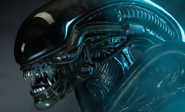 Danny McBride Joins ‘Alien: Covenant’