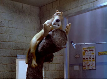 Creature Comforts Aardman Wiki Fandom
