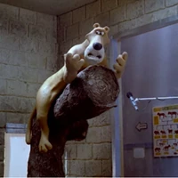 Creature Comforts Aardman Wiki Fandom