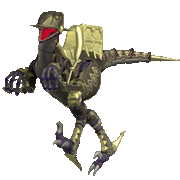 Black Raptor