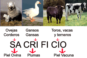 Guia15